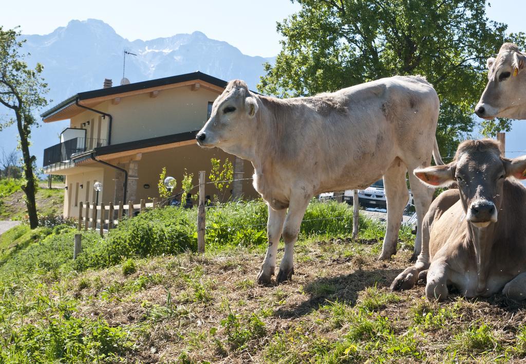 Agriturismo Al Franet Tremosine Bagian luar foto