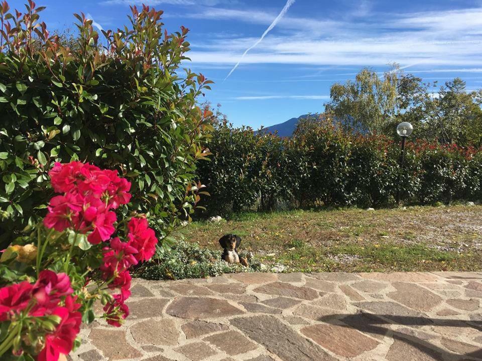 Agriturismo Al Franet Tremosine Bagian luar foto